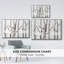 Birch Trees II, reproduction d'art sur toile-94357626-94357627