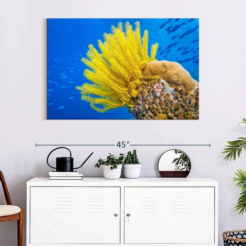 Brampt Yellow Feather Starfish, 26" H x 39" W