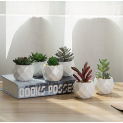 Minimal Ceramic Planter - 6 inch - Shop Verdant Kansas City