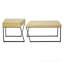 Table basse Revere