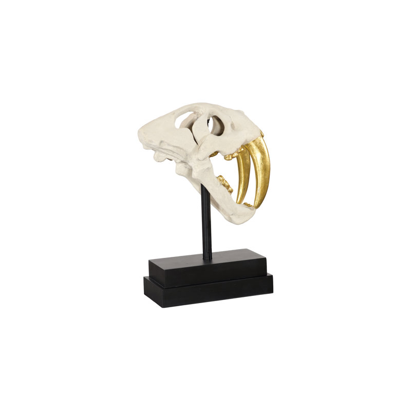 Tooth Tiger Skull, Beige