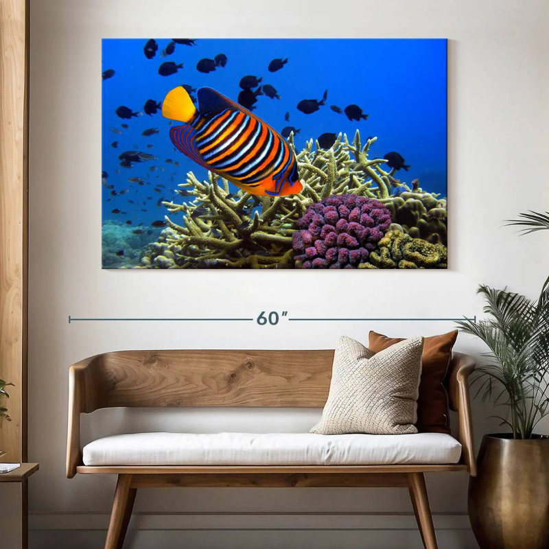 Brampt Royal Angelfish, 34" H x 51" W