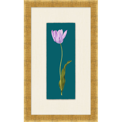 Tulipa Gesneriana 3 Print by Lillian August