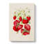 Illustration of Strawberry Plants - Wrapped Canvas-55304455