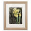 «Jadaya Ode to Yellow Flowers» par Color Bakery, impression encadrée-20487940-70687503-20487941