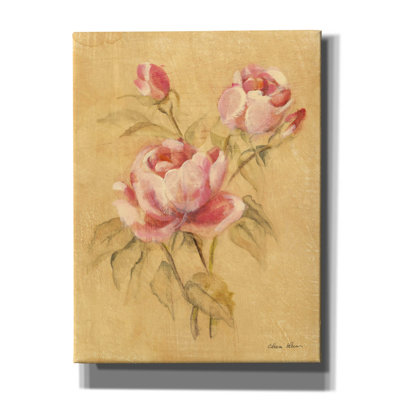 August Grove® 'Rose 2' by Cheri Blum Canvas Wall Art