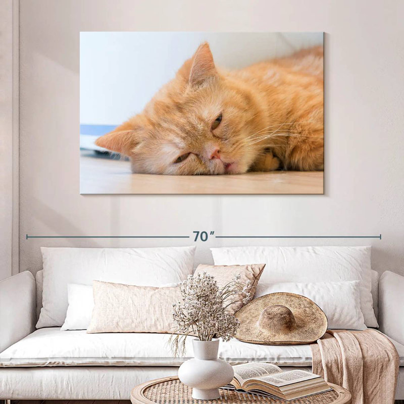 Crowle Sleeping Cat