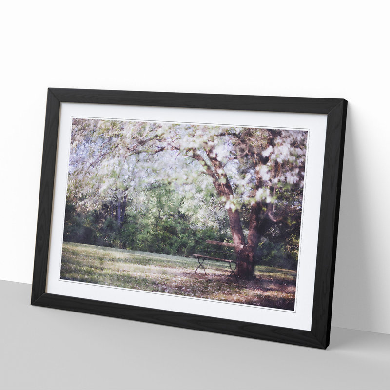 Blossom Tree in a Park - Framed Print, Black Framed, 48cm H x 65cm W x 2cm D