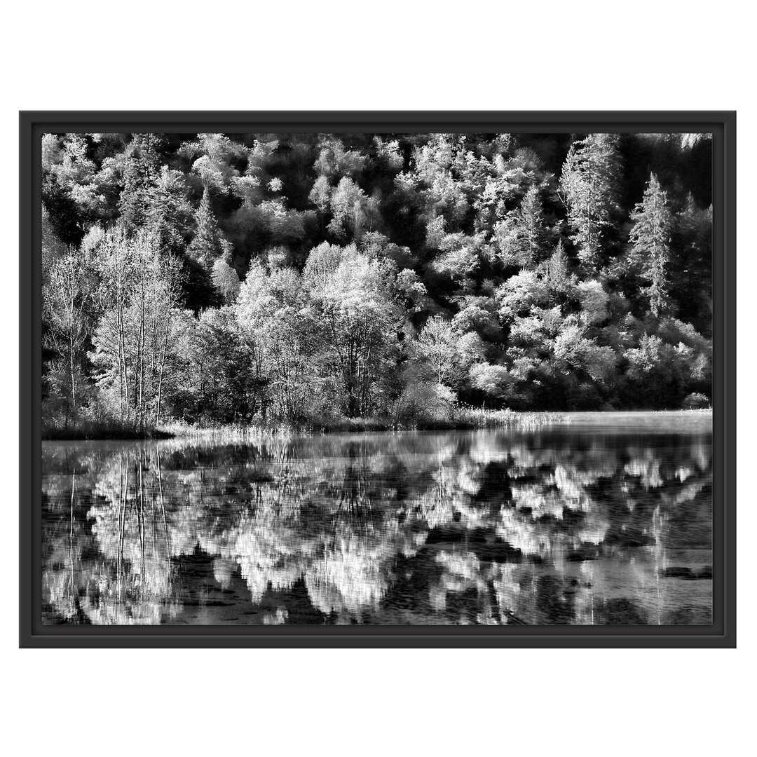 Gerahmter Fotodruck Autumn Lakeside Forest