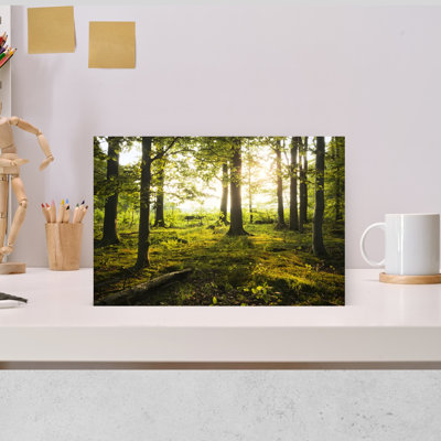 «Summer In The Woods Abstract Contemporary Forest Landscape», reproduction d'art mural