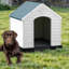 Niche pour chien en plastique-138017174-165014691