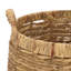 Ensemble de 2 paniers Bucky