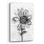 Art mural en verre Spa Botanical-1890461672