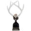 Bouteille décorative en bois Antler-71170904