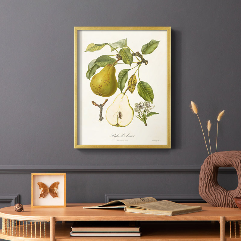 Vintage Pears II, reproduction encadrée - bois massif, H 14 po x l 11 po