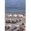 Humor De Vacay Photographic Print Canvas-73093379-73093380