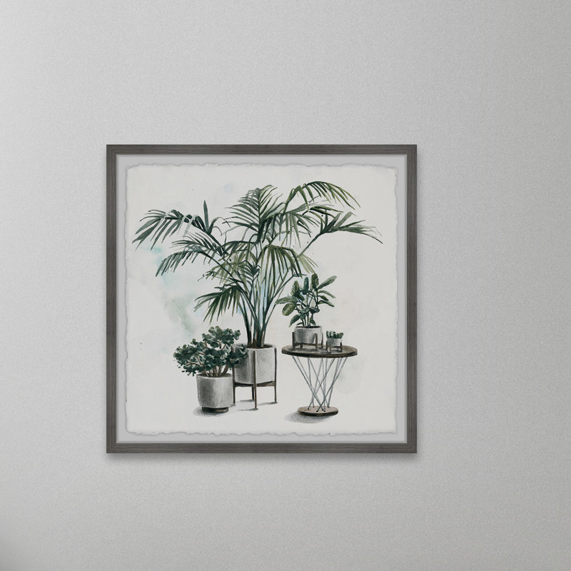 Indoor Tropical Garden II - Single Picture Frame Painting, 51cm H x 51cm W