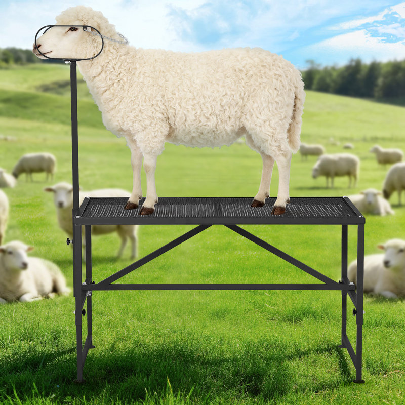Support de traite pour chèvres – Plateforme de toilettage robuste pour bétail, 119 x 58 cm, hauteur réglable (53 à 84 cm), têtière, boucle nasale, noir + paire de gants