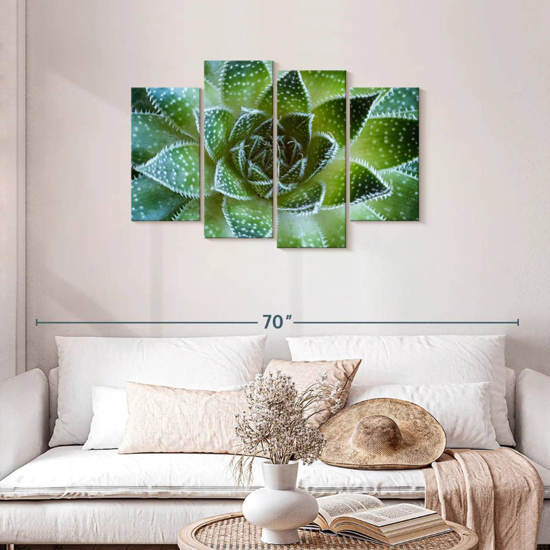 Plante grasse Haroek Lace Aloe, H 27 po x l 43 po