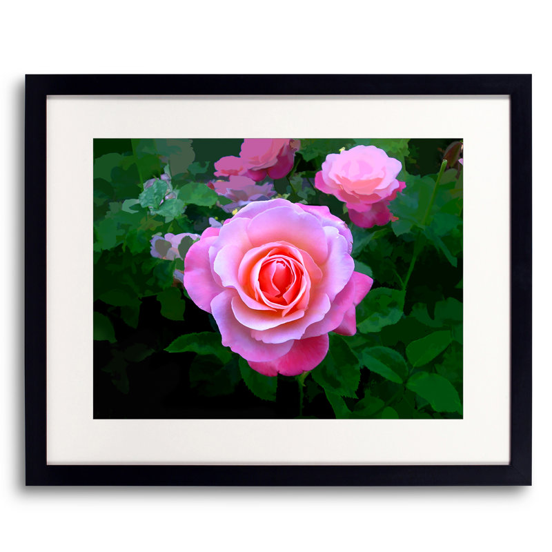 A Rose Is A Rose Print by Tom Kostes, 25.25" H x 31.25" W