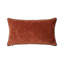 Boromee Velvet Pillow Cover & Insert-1338290835-1338290840