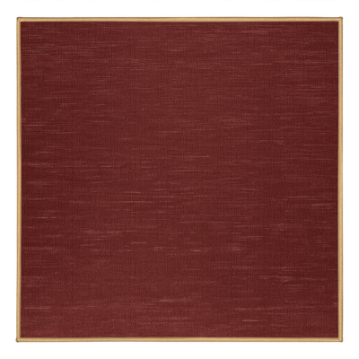 Machine Washable Solid Brown Area Rug
