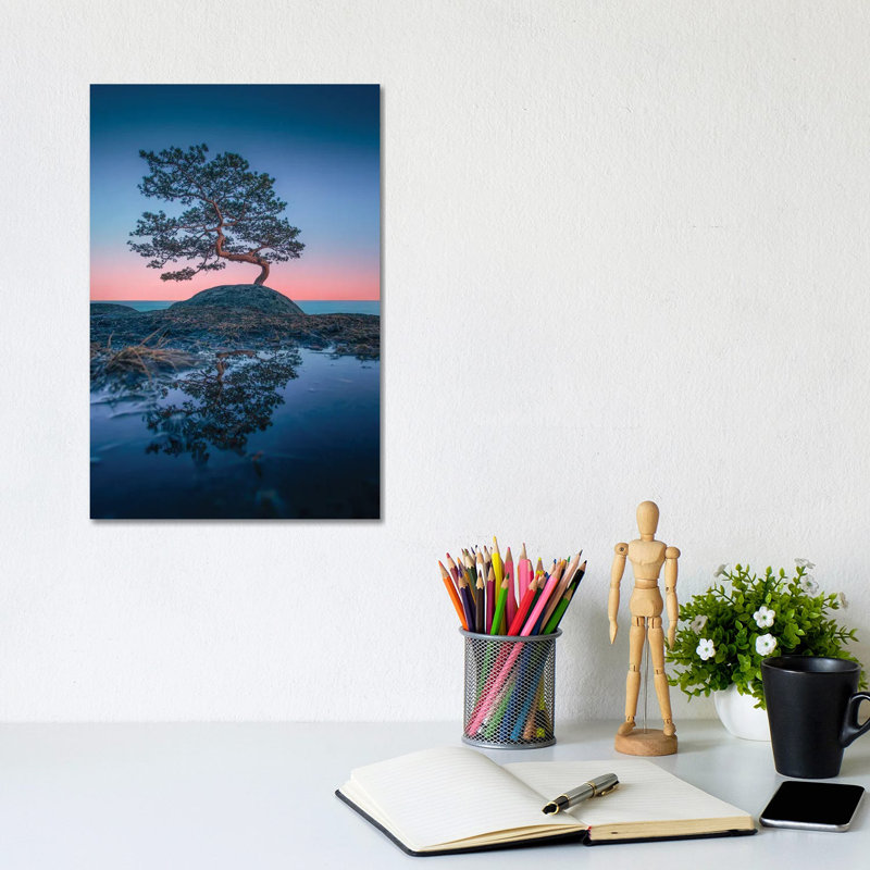 Bonsai II by Lauri Lohi - Wrapped Canvas Print, 20.32 cm H x 30.48 cm W