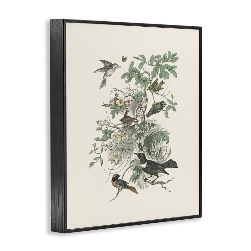 Oiseaux variés dans la nature rétro, estampe numérique, design par Wild Apple Portfolio, H 20 po x l 16 po