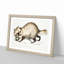 Racoon-Faced Dog by John Edward Gray - Picture Frame Painting Print-55765408-55765410