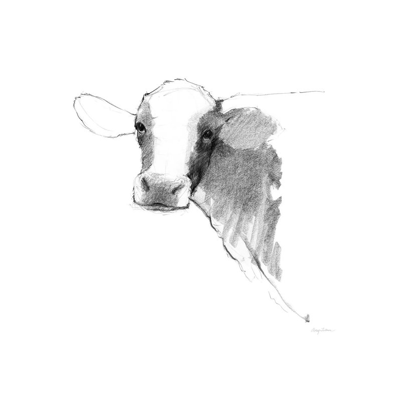 Cow II Dark Square by Avery Tillmon - Wrapped Canvas Print, 45.72 cm H x 45.72 cm W