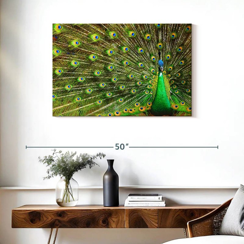 Brampt Showing Off Peacock Feathers, 24" H x 36" W