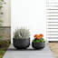 Grand bac à fleurs / jardinière en béton anthracite foncé l 17,5 po x H 11,5 po avec trous de drainage-1352947728-1352947729