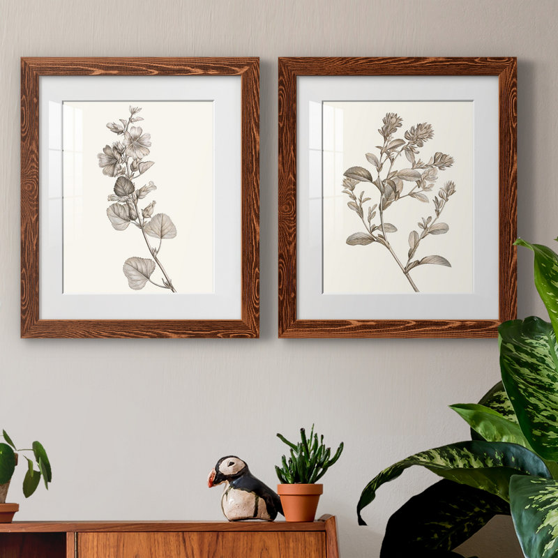 «Neutral Botanical Study», reproduction encadrée prête à être accrochée, H 20 po x l 17 po x P 1 po, Papier avec cadre érable