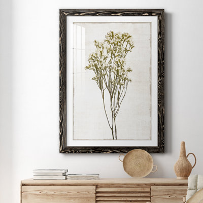 Farmhouse Pressed Flower II - peinture encadrée