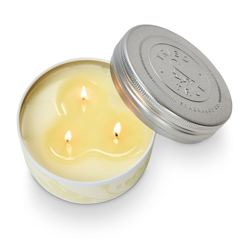 Essayé et vrai gros fer-blanc, agrume, 14,1 oz blanc / étain argenté