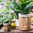 Nwaba Handmade Pot Planter-363425704