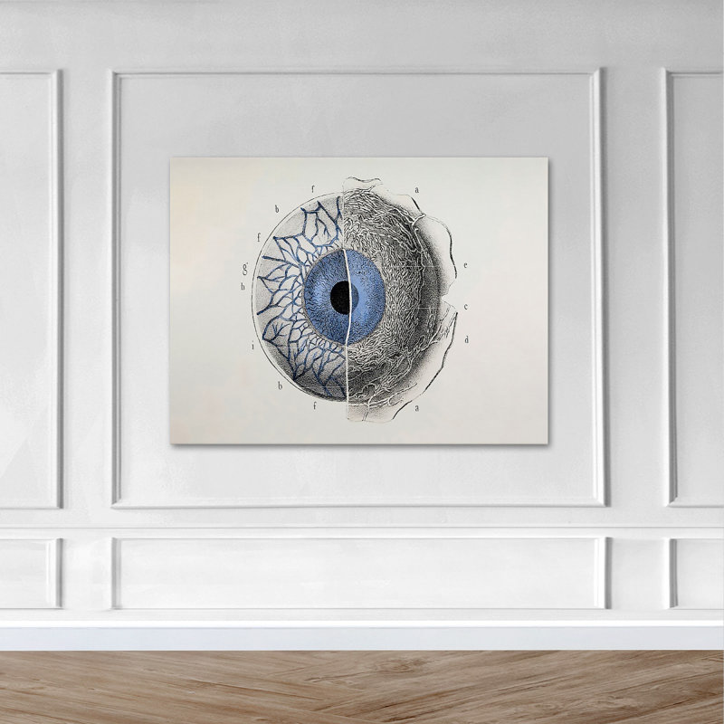 «Eye Anatomy Art», impression sur toile tendue, H 11 po x l 24 po x P 2 po