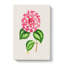 Pink Queen Victoria Camellia Illustration - Wrapped Canvas-55324897
