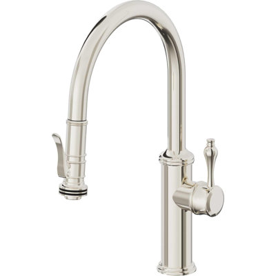 Davoli Kitchen Pull-Down Faucet with Squeeze Sprayer - Low Arc Spout