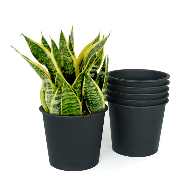 Pot de plante de jardin 6,3 "rond - pots de jardin en plastique avec drainage (paquet de 5), 5.5" H x 6.3" W x 6.3" D