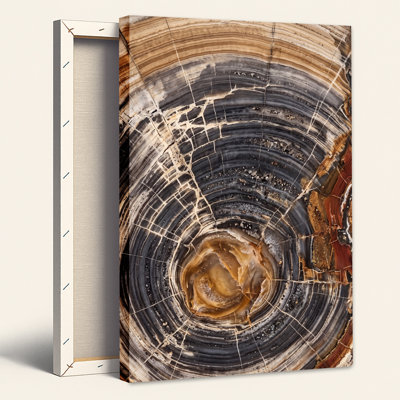 Art mural sur toile, "Petrified Wood Slice" avec anneaux bruns et gris