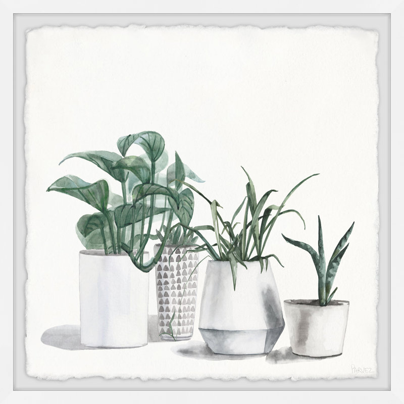 Urban Houseplants - ensemble de 3 cadres photo, L 12 po x H 12 po