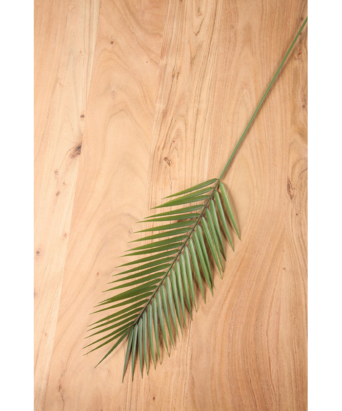 Faux Palm Leaf Stems