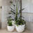 Dorlis Handmade Pot Planter-406649357-406649457