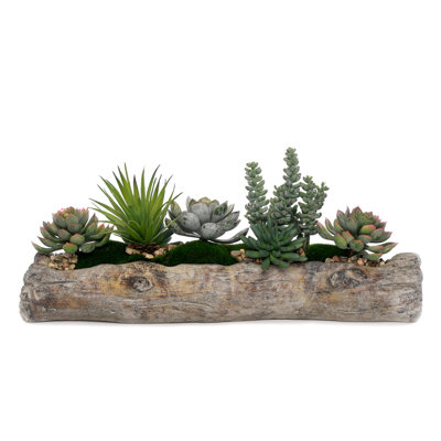 Faux Succulent Plant in Cement Log