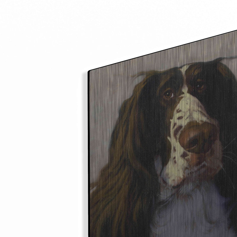 " Springer " by Thomas Fluharty