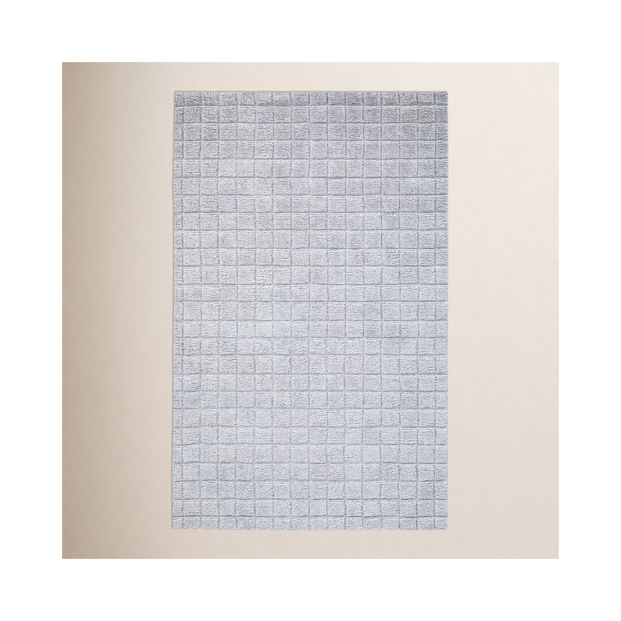 Gilligan Hand Tufted Recycled P.E.T Gray Rug, Rectangle 6' x 9'