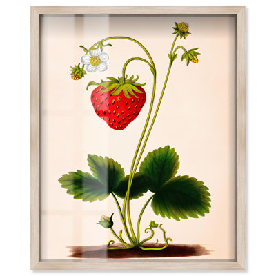 «Strawberry Kitchen Art Shadowbox» par Art Remedy