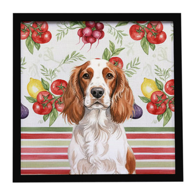 Welsh Springer Spaniel Vegetables Framed Metal Print