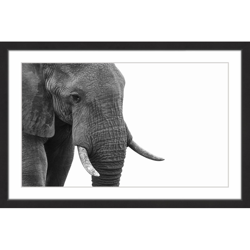 Single Picture Frame Print, 41cm H x 61cm W x 3.81cm D